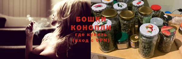 2c-b Мегион