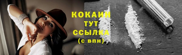 2c-b Мегион