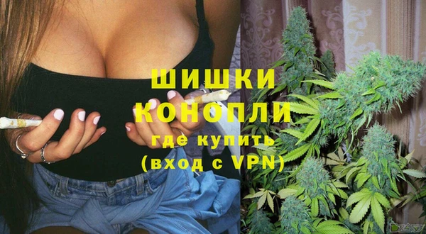 2c-b Мегион