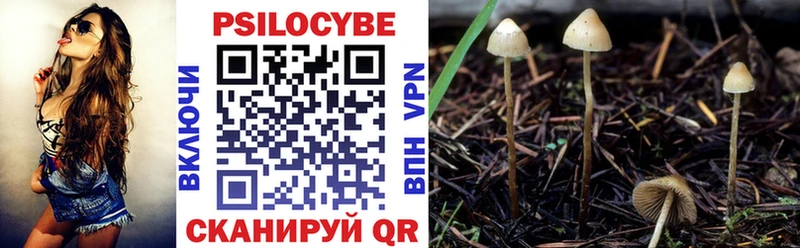 где купить наркоту Усмань Псилоцибиновые грибы мухоморы