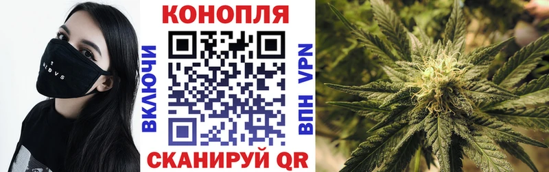Канабис семена  Усмань 